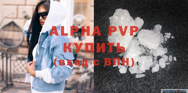 гашик Корсаков