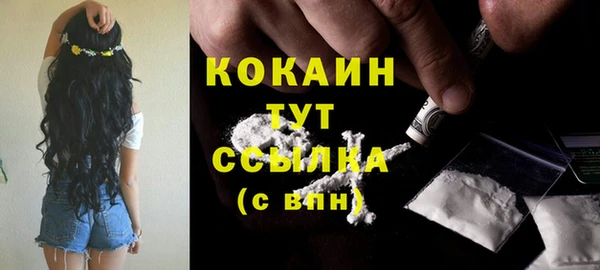 соль ск Костерёво