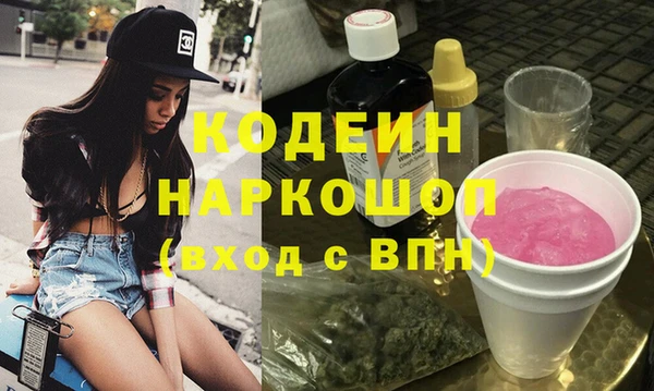 гашик Корсаков