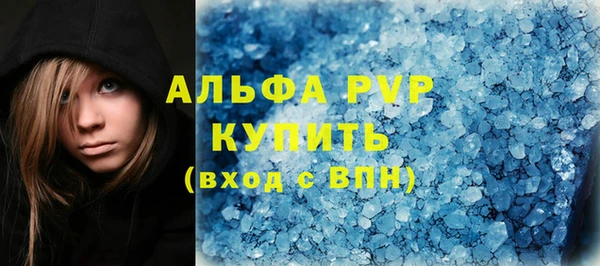 гашик Корсаков