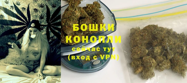 соль ск Костерёво
