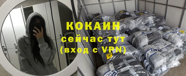 гашик Корсаков