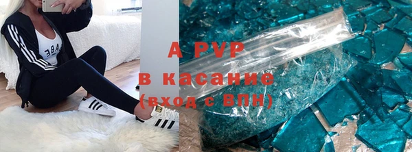 гашик Корсаков