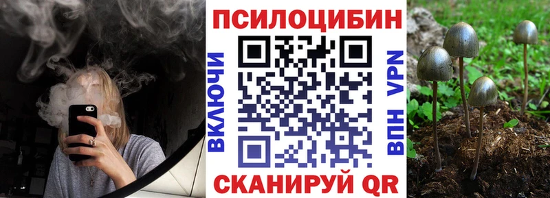 Купить  Горнозаводск  Псилоцибиновые грибы Cubensis 